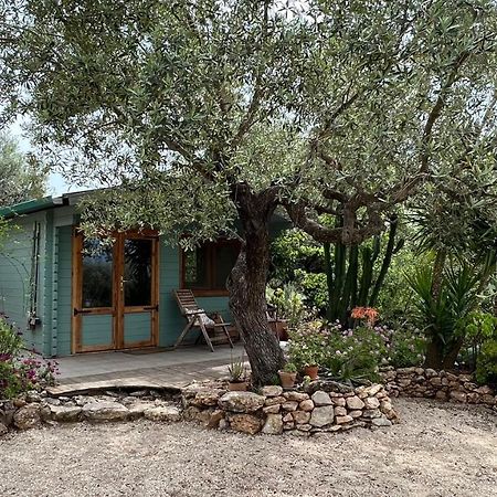 Finca Florecer Tivenys Экстерьер фото