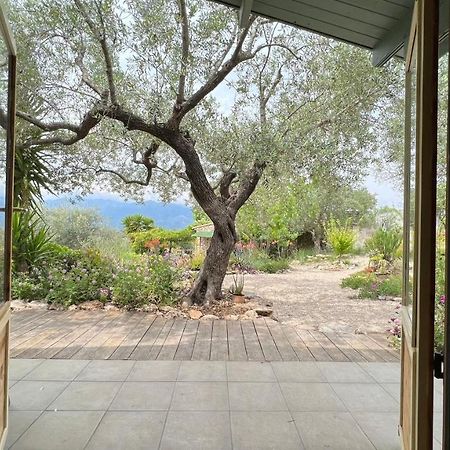 Finca Florecer Tivenys Экстерьер фото