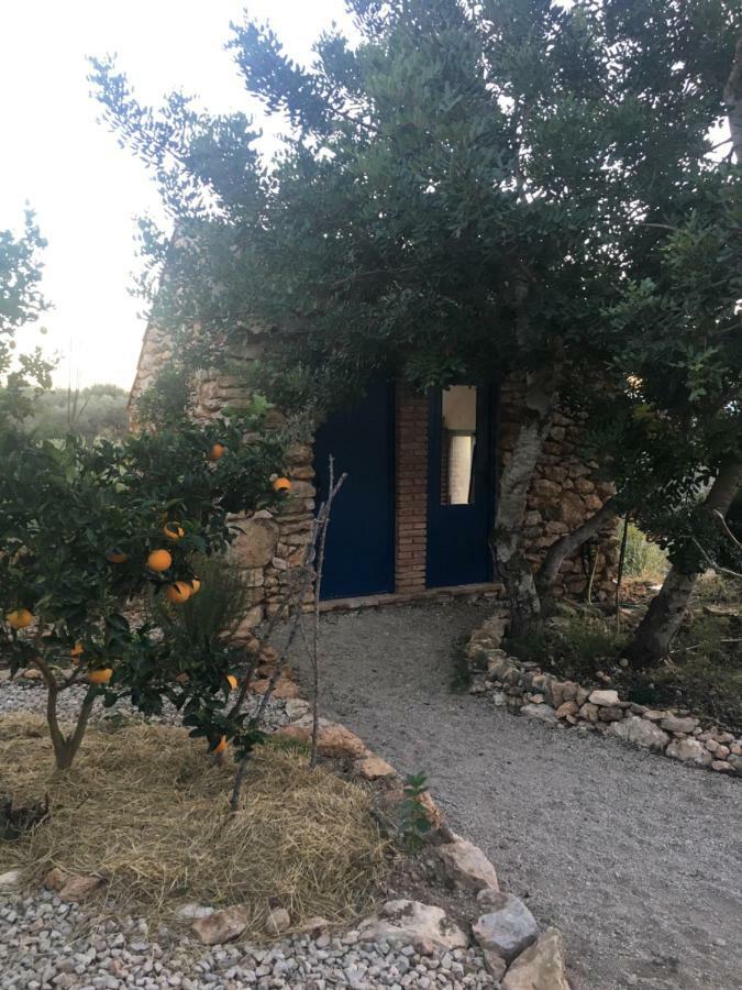 Finca Florecer Tivenys Экстерьер фото